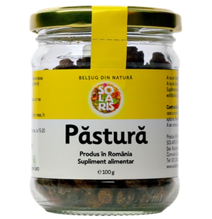 Pastura - Painea albinelor 100g Solaris