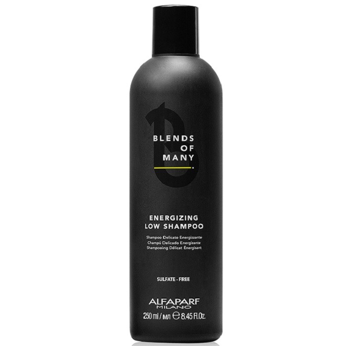 Sampon pt barbati anti caderea parului 250ml Alfaparf Milano