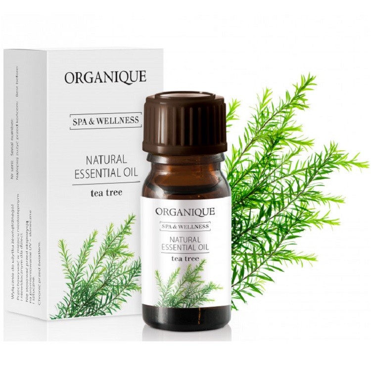Ulei esential natural arbore de ceai (Tea tree) 7ml Organique
