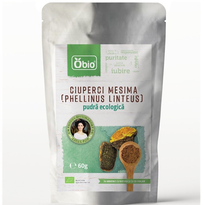 Ciuperci Mesima (Phellinus Linteus) pudra bio 60g Obio